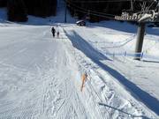 Pony-Diablerets - Rope tow/baby lift with low rope tow