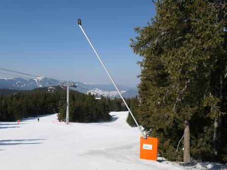 Snow reliability Rhodope Mountains – Snow reliability Pamporovo