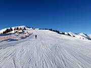 Easy slope at the Kreuzhöhe platter lift