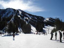 Mt. Rose