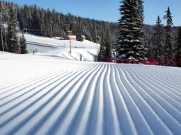 SilverStar