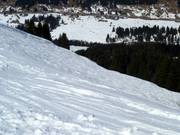 Off-piste terrain at Schelpen
