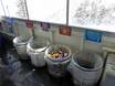Asia: environmental friendliness of the ski resorts – Environmental friendliness Furano