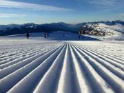Perfectly groomed slope in the Paganella ski area
