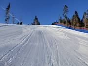 First-class slope grooming in the Lavarone ski area