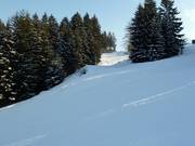 2. Slope at the Hempelsberglift