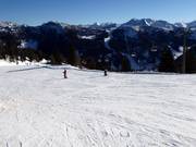 Blue Roßkopf Run