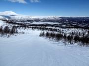 Mickelpasset