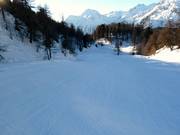Intermediate slope at Piz Aela