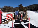 Wombats Snow Runner