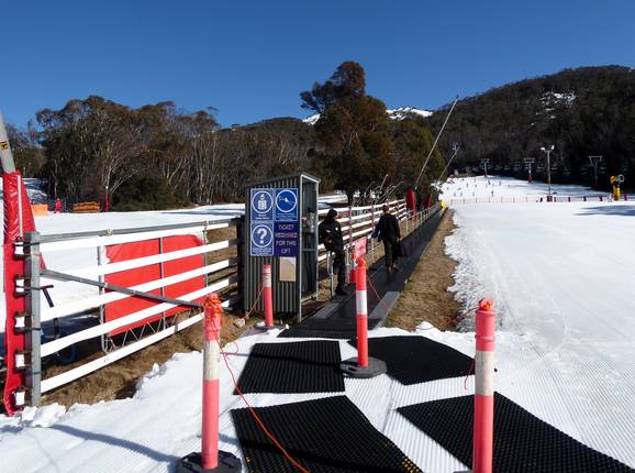 Wombats Snow Runner