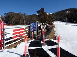 Wombats Snow Runner