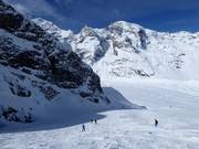 Morteratsch Glacier Run