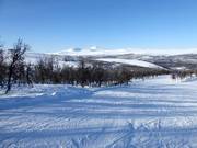 Slope No. 12 Ekorrpasset
