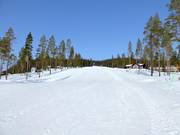 Slope Snöflingan No. 2