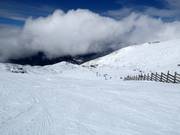 Bacchus slope No. 2