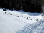 Pony slope