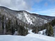 View towards Alder Point