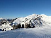 View of the Grand Chamossaire