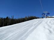 Slope Calamity Jane