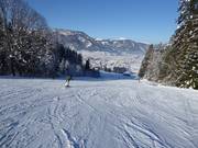 Pointen descent