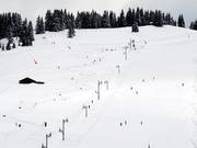 Snow Park Fôrets