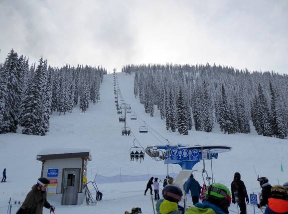 Summit Chair