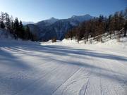Excellent slope grooming in the Pejo ski area