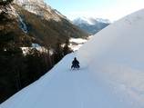 New 6.5 km long toboggan run