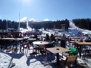 Dolly Bell Kopaonik