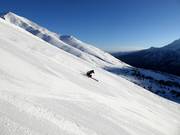 Black slope Cadi Carosello in Tonale