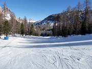 Slope No. 65 Slittone