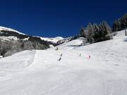 Valley run to Dorfgastein