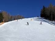 Black Panorama Run
