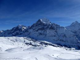 First – Grindelwald