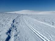 Cross-country trail at Dundret