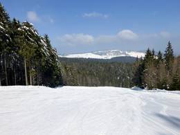 Notschrei