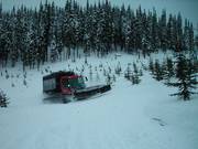 Catskiing Big Red Cats