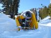 Snow reliability Stubaital – Snow reliability Schlick 2000 – Fulpmes