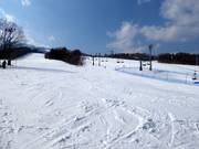 Easy slope Junior