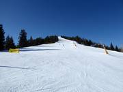 Upper College slope