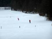 Cross-country trails directly at the Hirschberg lifts