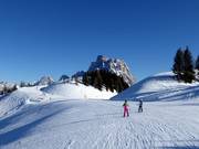 Slopes at Col Fioret