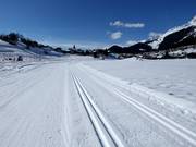 Cross-country ski trail Plaun Rueun in Brigels