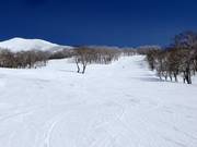 Intermediate slope S "JI" (Annupuri)