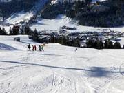 Valley run Kleinarl