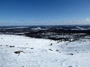 View of the freeride area in Levi