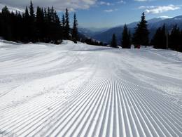 Disentis