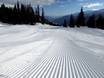 Slope preparation Disentis Sedrun – Slope preparation Disentis