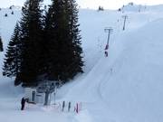Javor - T-bar